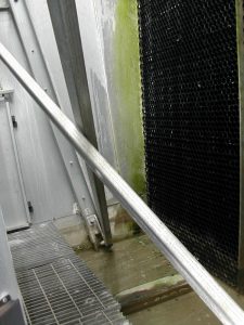 Algae Growth on the Vertical Members & Sediment in the Sump