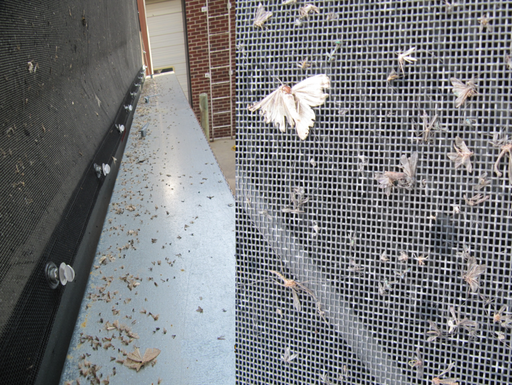 Insects Kept from Accumulating in the Fill, the Sump, the Strainers & Feeding Bacteria in a Cooling Tower