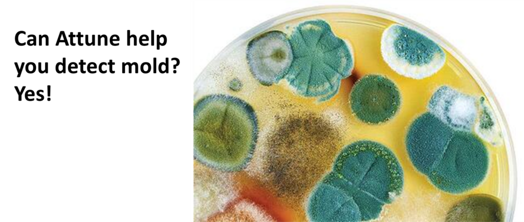 Can Senseware help you detect mold Yes